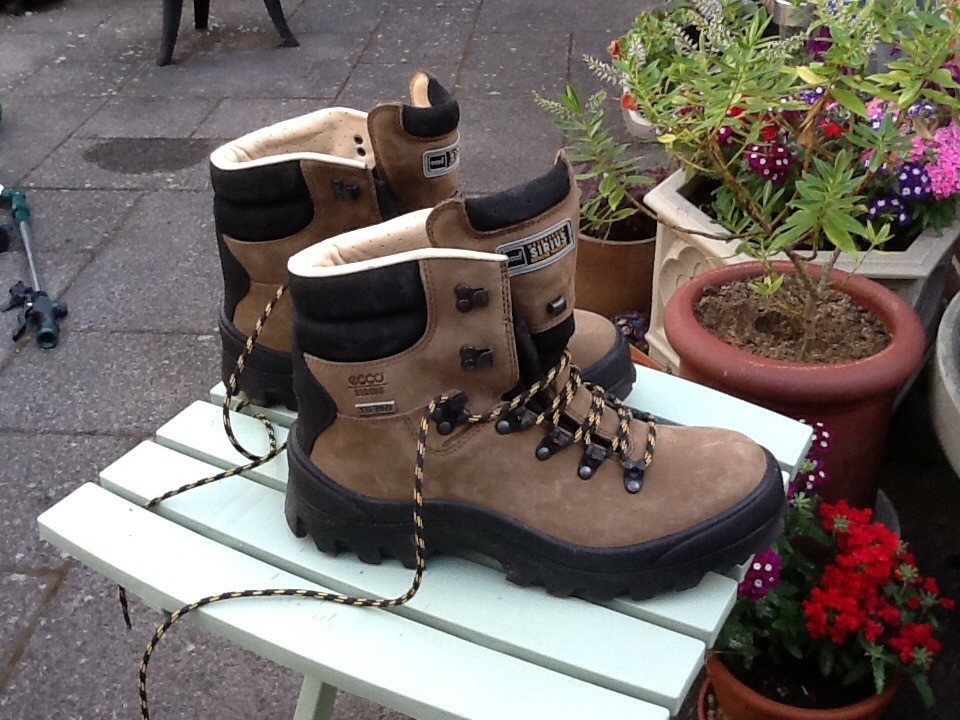 ecco sirius gore tex boot